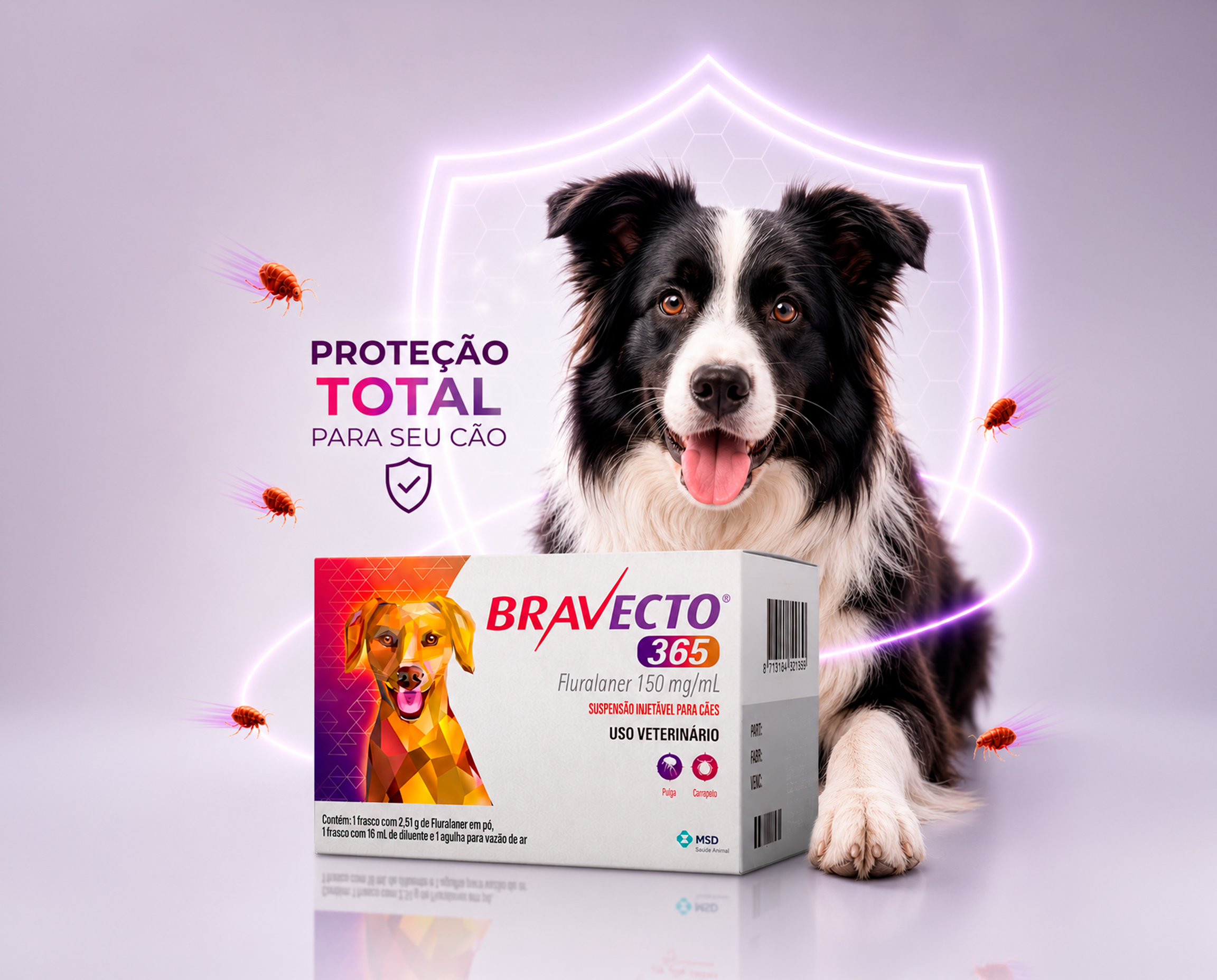 Bravecto 365 com cão protegido
